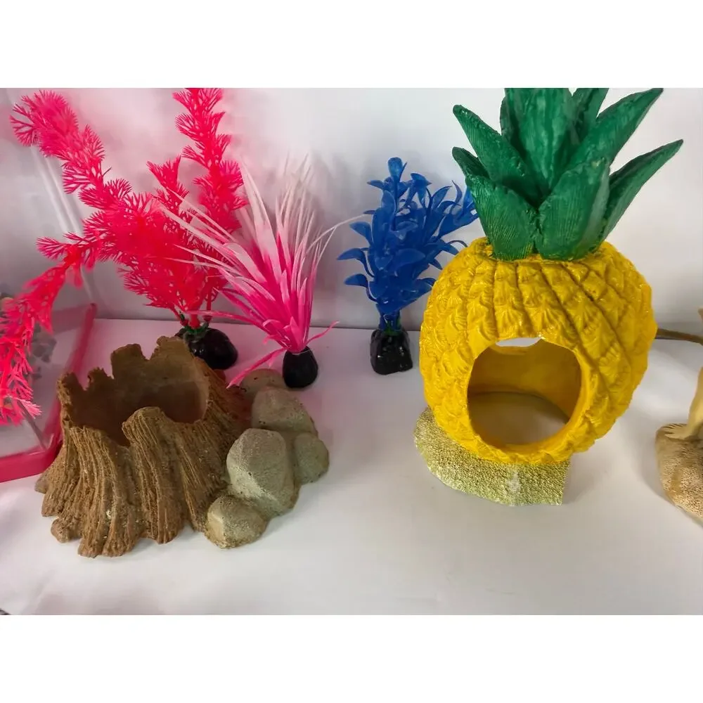Girls Fish Tank Starter Bundle